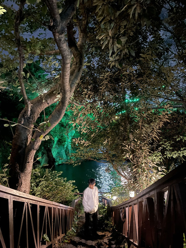 제주의 밤을 물들이는 비밀정원, 용연계곡🍃