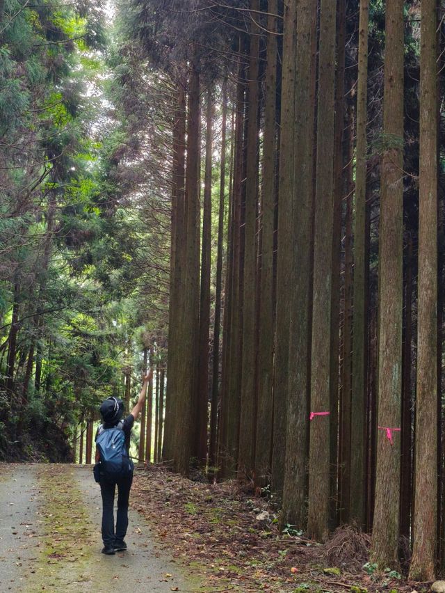 熊野古道中邊路徒步之旅 熊野古道中邊路徒步之旅