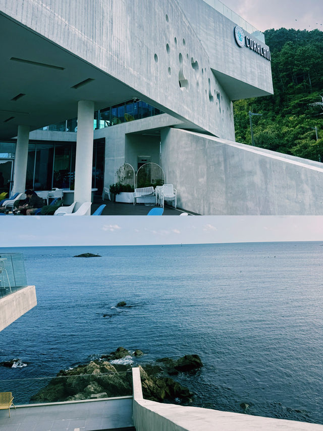 부산 바다를 한눈에 담은 코랄라니 카페의 여유