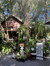🌿 Lan Ve La Phuket — คาเฟ่ในสวนบรรยากาศดีสุด ๆ 🍃