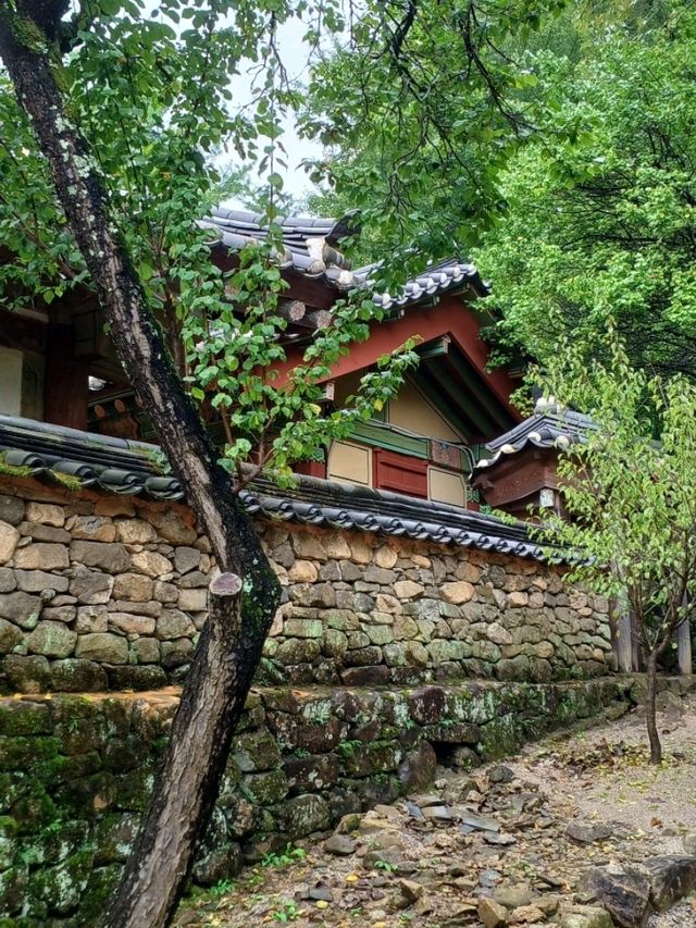 녹음이 감싸는 평온의 공간, 순천 선암사