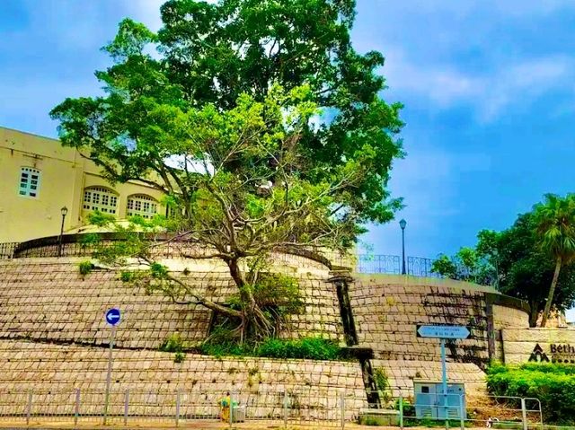 Béthanie Museum of East Asian Culture — Heritage Meets Architecture