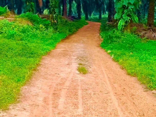 Sepang Itinerary | Passion Fruit Garden & Hiking Adventure