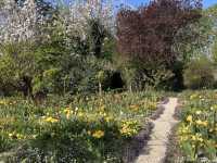 Claude Monet's House and Gardens - Giverny