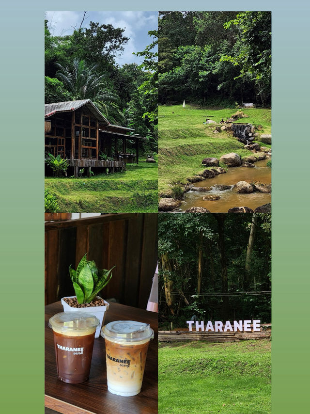 THARANEE กลางผืนป่าที่เงีบสงบธรรมชาติสุดๆ