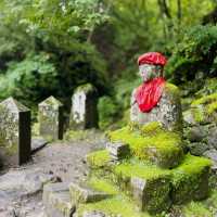The Stone Guardians of Nikko: My Solo Walk Through Kanmangafuchi Abyss