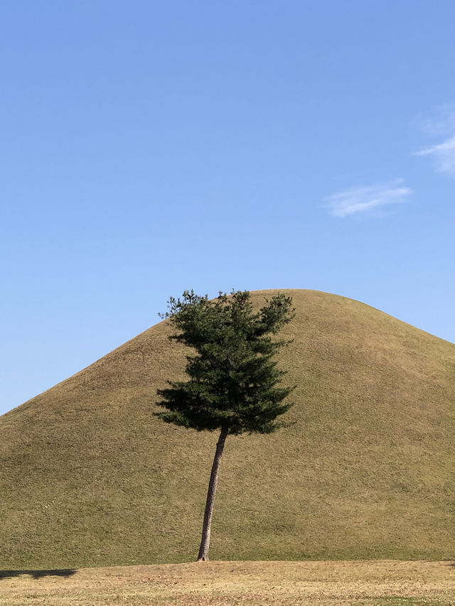 🌿 시간 속을 걷는 곳, 경주 대릉원에서의 추석