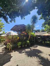 แนะนำร้านอาหาร •บ้านน้ำเงี้ยว แม่จัน• เชียงราย