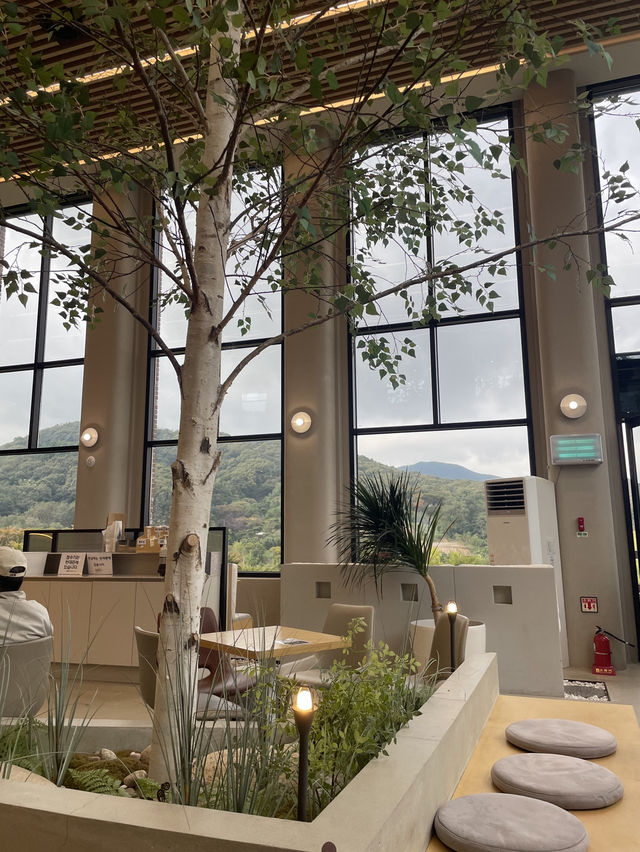 베툴라 베이커리,용인자작나무 숲🧁
