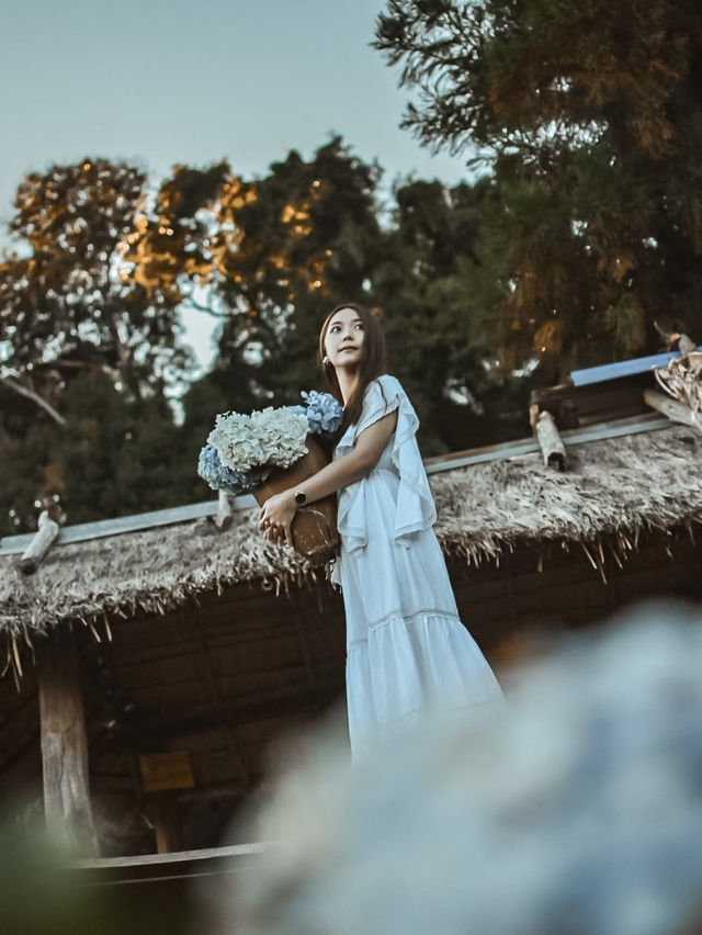 💐 บ้านขุนแปะ – หมู่บ้านกลางขุนเขา ที่มีหมอก ดอกไม้