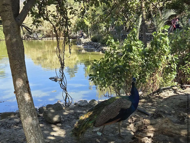 Botanical Garden of Crete
