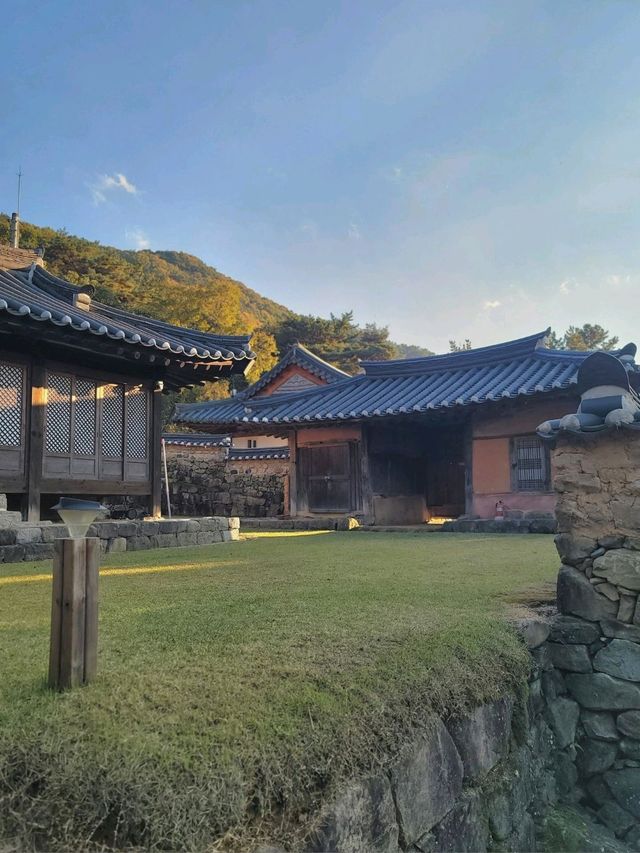 가을이 오면 꼭 가야할 은행나무명소💛