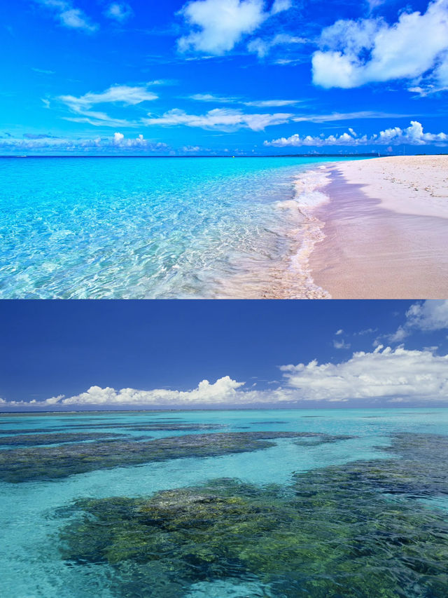 「鼓浪嶼號」買一送三＋免費升海景房！🔥2026早鳥優惠嚟啦