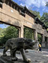🇨🇳 History in the Clouds: Exploring Nanjing’s Purple Mountain (Zijin Shan)