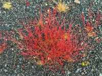 🌄 Þórsmörk Nature Reserve – Iceland’s Enchanted Valley 🇮🇸✨