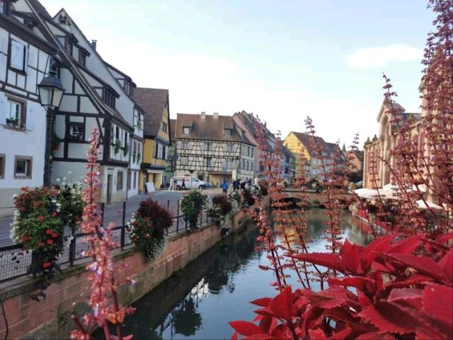 Enchanting "La Petite Venise" in Colmar