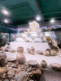 Coral Museum Magic🦀