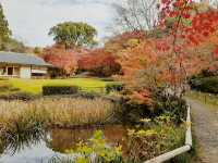 The Solo Day Out: Higashiyama Zoo & Botanical Gardens