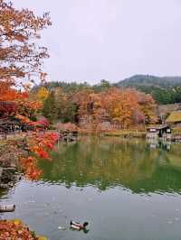 Hida Folk Village (Hida no Sato) 🍁🍂