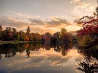 Leafy City Glow🌆 in Sapporo, Hokkaido