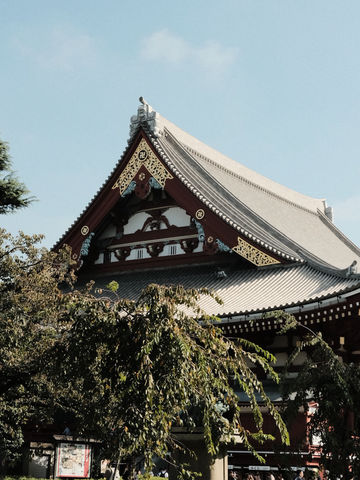 Tokyo Temple Days⛩️