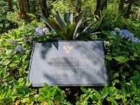 Orchid Forest Cikole, Bandung