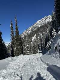 중앙아시아의 스위스, 키르기스스탄 알틴 아라샨! ❄️🏔️