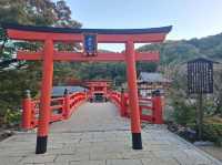 ✨️勝尾寺達摩寺⛩️大阪必去打卡好去處介紹📸💕