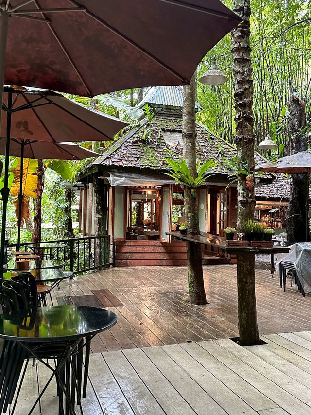 Ted du coffee @แม่กำปอง Ted du coffee @แม่กำปอง