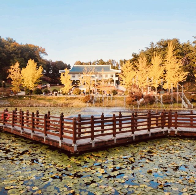 The Breathtaking View of Daecheongho Lake The Breathtaking View of Daecheongho Lake