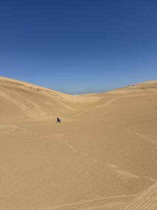 Camel rides allow you to roam freely through the desert 🏜️
