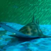 แพลนเที่ยวเซี่ยงไฮ้ภายใน 8 ชั่วโมง