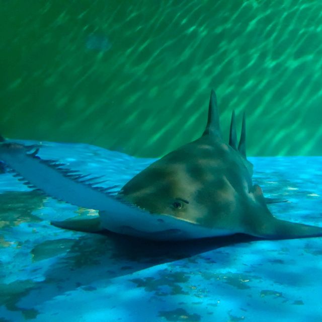 แพลนเที่ยวเซี่ยงไฮ้ภายใน 8 ชั่วโมง