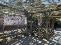 🕊️ 春日大社:許願的靈性場所