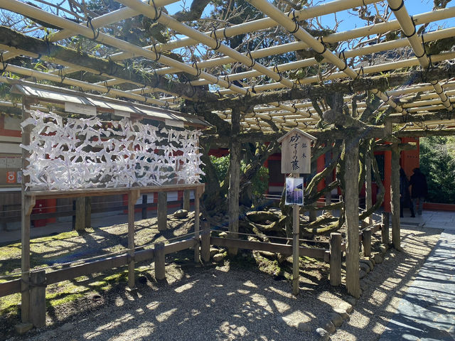 🕊️ 春日大社:許願的靈性場所 🕊️ 春日大社:許願的靈性場所