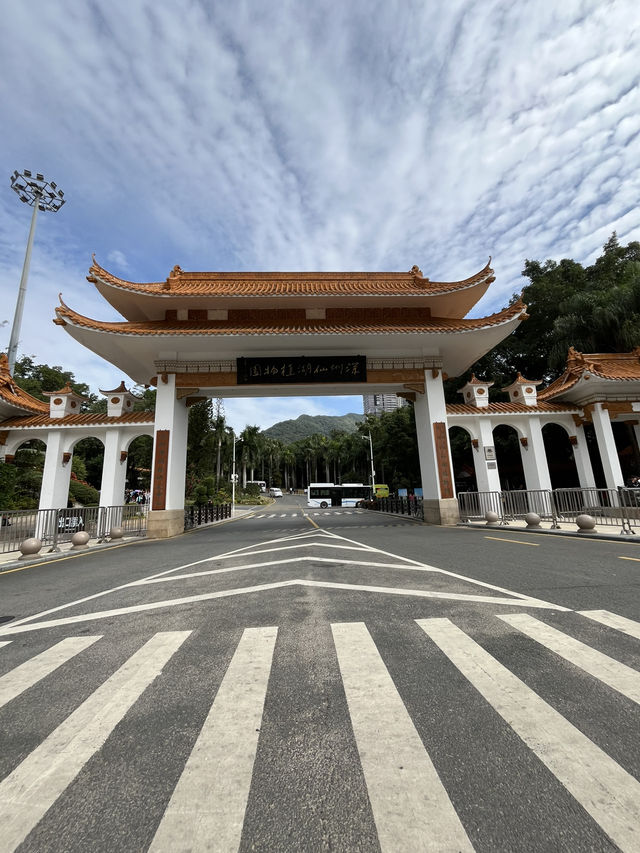 深圳秋日落羽松打卡|仙湖公園浪漫湖邊漫步🌲🍁 深圳秋日落羽松打卡|仙湖公園浪漫湖邊漫步🌲🍁