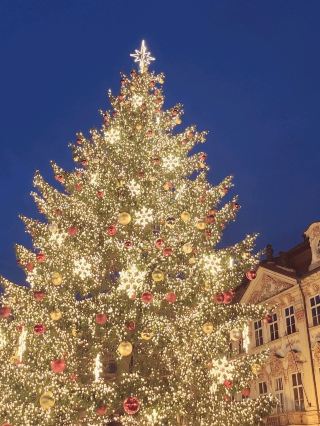 冬のクリスマスマーケットはぜひ訪れる価値があります。