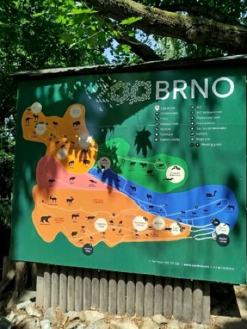 브르노 동물원에서 완벽한 여행을 즐기세요