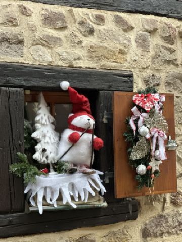 Eguisheim: A Picture-Perfect Stopover Before Colmar’s Christmas Magic 🎄🌧️