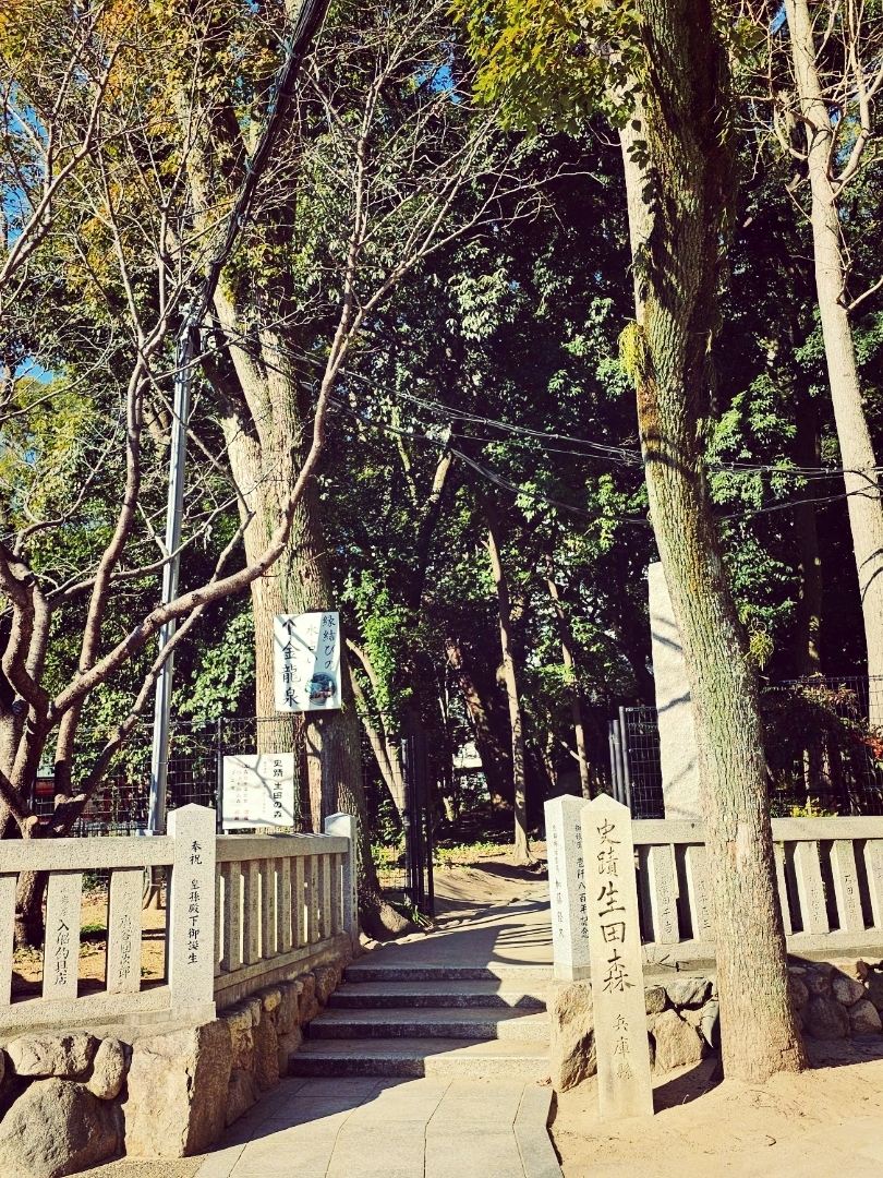 神戸市中心にある静寂の空間「生田の森」を散策 | Trip.com 神戸