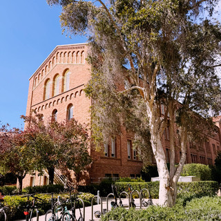 UCLA, a top attraction in LA where youth and intellect coexist!