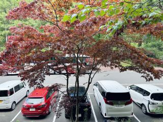 Family Paradise: Kitayuzawa Mori no Soraniwa Resort.