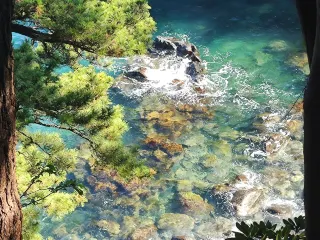 Izu Peninsula Travel Guide 2026: Top Attractions, Things to do