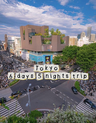 東京6天5夜自由行新手行程分享 不用早起 不暴走 超輕鬆