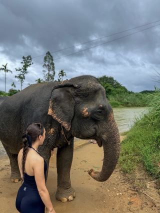   A Day Spent With Giants 🐘🌿
