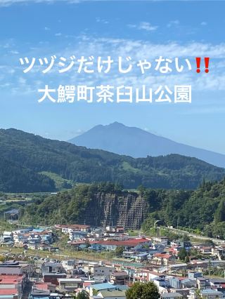 青森県大鰐温泉・茶臼山公園〜ツヅジの名所だけではない魅力😘