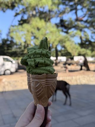 The Ultimate Street Food Crawl in Nara 🍡🎌