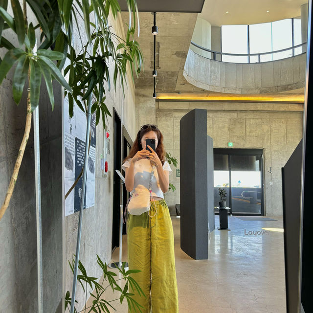 제주여행🏝️ 행원해변 뷰맛집 카페 레이오버🩵