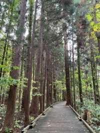 삿포로 5일 여행 포토 스팟