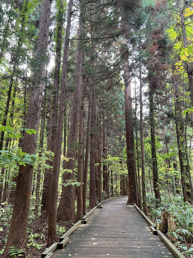 삿포로 5일 여행 포토 스팟 삿포로 5일 여행 포토 스팟